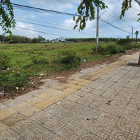Bán Đất 1900M2 Tại Đường 329, Xã Xuyên Mộc, Xuyên Mộc, Bà Rịa Vũng Tàu, Giá Cực Chất 10,4 Tỷ