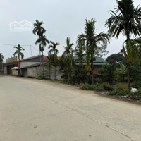 Nhỉnh 4Tỷ 557M2 100 Thổ Cư Trục Chính Liên Huyện Tại Lương Sơn Hoà Bình