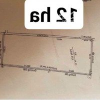 Top 12 Ha Có 4 Mặt Tiền - Đối Diện Khu Công Nghiệp