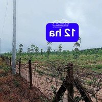 Top 12 Ha Có 4 Mặt Tiền - Đối Diện Khu Công Nghiệp