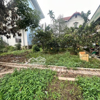 Bán Đất Đông Dư, 4,5 Tỷ, 91M2 Tại Bát Tràng, Gi2 Tại Bát Tràng, Gia Lâm, Hà Nội - Hàng Hiếm Giá Tốt