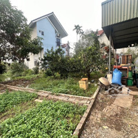 Bán Đất Đông Dư, 4,5 Tỷ, 91M2 Tại Bát Tràng, Gi2 Tại Bát Tràng, Gia Lâm, Hà Nội - Hàng Hiếm Giá Tốt
