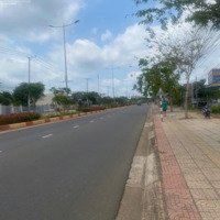 Bán Đất 1900M2, 10,4 Tỷ Tại Đường 329, Xuyên Mộc, Bà Rịa Vũng Tàu