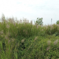 Cho Thuê Gấp Loại Bất Động Sản Khác Tại Đường Bến Kè, 35 Triệu, 2004-5000 M2