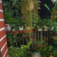 Bán Gấp. Căn Hộ Chung Cư 219 Trung Kính 2N2W 68M2, Sẵn Sổ Giao Dịch Ngay