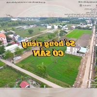 Thanh Lý Lô Đất Củ Chi 100M2, Giá Bán 2Ty160, Chính Chủ , Gần Bênh Viên Xuyên Á, Tân Phú Trung, Shr