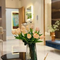 Căn Hộ 1 Phòng Ngủ+ 46M2 Giá Bán 2,55 Tỷ, Chỉ Thanh Toán 480 Triệu Nhận Nhà