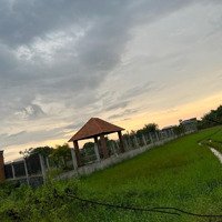 Chính Chủ Bán 1230M2 Đất Lua Mặt Tiền Đường Đôi View Kênh