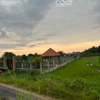 Chính Chủ Bán 1230M2 Đất Lua Mặt Tiền Đường Đôi View Kênh