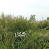 Cho Thuê Kho, Nhà Xưởng Tại Đường Bến Kè, Thủy Đông, Thạnh Hóa, Long An, 25 Nghìn / M2, 2004 M2