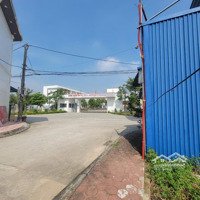 Bán Lô 67M2 Tại Đấu Giá Mả Tre, Bình Minh, Thanh Oai