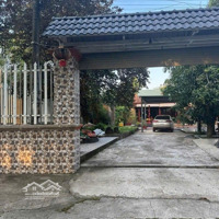 Bán Nhà Vườn Đẹp Ở Xã Vĩnh Thanh, Nhơn Trạch, Đồng Nai