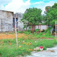 Lô Đất Thổ Cư | Bờ Kè Sông Cái | Hương Lộ 45 | Khu Dân Cư Trường Hoàng Hoa Thám