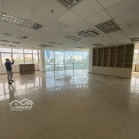 Gấp! Mặt Tiền Đường 45 Đông Hồ Khu Sầm Uất Quận Tân Bình.