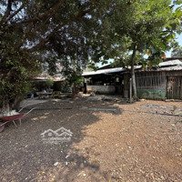 Trang Trại, Khu Nghỉ Dưỡng Tại Gia Tân 1, Thống Nhất, Đồng Nai, 4,2 Tỷ, 2000 M2