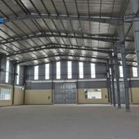 Cho thuê xưởng cao thoáng, 1300m2 & 1500m2, xe công vào tận nơi, giá chỉ 60 nghìn/m2