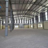 Cho thuê xưởng cao thoáng, 1300m2 & 1500m2, xe công vào tận nơi, giá chỉ 60 nghìn/m2