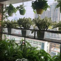 [Imperia Garden] Chủ Cần Bán Căn 3 Phòng Ngủ Rộng 91M2, Nội Thất Hoàn Thiện Đẹp Chỉn Chu, Giá Nhỉnh 8 Tỷ