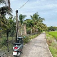 Bán Đất Giá Ưu Đãi Tại Xã Mỹ Phú, Thủ Thừa, Long An