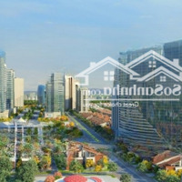 Trực Tiếp Pkd Chủ Đầu Tư - Mở Bán Quỹ Căn Biệt Thự Hinode Royal Park