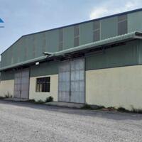 Thuê kho xưởng 1300m2 & 1500m2, điện nước đầy đủ, đường lớn, giá 60k/m2, thương lượng