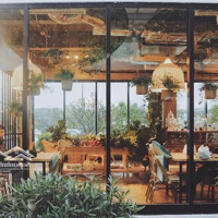 Cho Thuê Cửa Hàng Tại Thành Công. Vị Trí Cực Đắc Địa Phù Hợp Kinh Doanh Thời Trang, Cafe