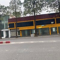 Siêu Mặt Bằng Kinh Doanh Mặt Phố Trần Khát Chân 200M2Mặt Tiềnhơn 10M, Phù Hợp Chuỗi Lớn, Showroom,..