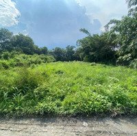 Tân Thạnh Đông Củ Chi Bán Lô Đất Shr 1/ Đường 130 Thông Ra Lê Thị Bay Thuộc Ấp 6. Diện Tích 20X50M