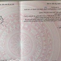 Bán Đất Tặng Nhà Cấp 4 Đang Cho Thuê Gần Vòng Xoay An Phú, Thuận An. Đường Oto Sổ Riêng 2 Tỷ