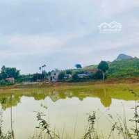 Lô Đất Đẹp Cao Phong Hòa Bình Cần Bán Vớidiện Tích999M2 Giá Chỉ 1 Tỷ 3