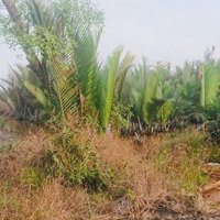 Thích Hợp Để Đầu Tư Sinh Lời. Bán Đất Vườn Phước An, Nhơn Trạch