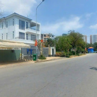 Cho Thuê Đất Biệt Thự 336,5M2 Dài Hạn: Đường Lê Hữu Kiều, Phường Bình Trưng Tây, Tp Thủ Đức