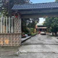 Siêu Rẻ! Bán Căn Nhà Vườn Tâm Huyết 570M2 Ở Vĩnh Thanh, Nhơn Trạch
