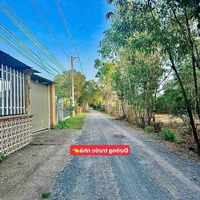 Siêu Rẻ! Bán Căn Nhà Vườn Tâm Huyết 570M2 Ở Vĩnh Thanh, Nhơn Trạch
