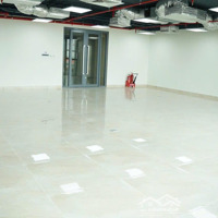 Chuyển Nhượng Building 2 Hầm + 10 Tầng Mặt Tiền Đại Lộ Võ Văn Kiệt - Quận 6. Pháp Lý - Pccc Đầy Đủ