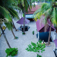 Biển Mỹ Khê - Vị Trí Đẹp - Diện Tích Lớn 1096M2 - Hiếm Có Ở Sơn Trà - Chỉ 186 Tỷ