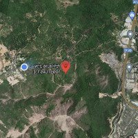 Bán Đất Đệ, 2,6 Tỷ, 8049 M2, Chính Chủ, Khánh Hòa