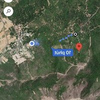 Bán Đất Đệ, 2,6 Tỷ, 8049 M2, Chính Chủ, Khánh Hòa