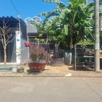 Cần Bán Đường Tùng Lâm 5 Kẹp Cống Sát Góc Nguyễn Đóa
