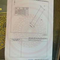 Chính Chủ Bán Lô Đất 111M Ở Hướng Đạo, Tam Dương