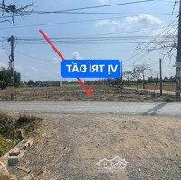 2Mặt Tiềnđường Nhựa 8M Và 4M Xã Tânlân Cần Đước Longan Diện Tích: 2000M Full Thổ Cư ( 35 X 60 ) Đã Tách 8 Sổ