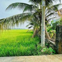 Chào Bán Trục Đường Chính View Cánh Đồng Cực Mát Mẻ. Thông Ra Ql 14B Và Vành Đai