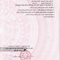 Bán Lô Góc 2 Mặt Tiền Nguyễn Công Trứ Tại An Hải Tây, Sơn Trà Diện Tích 513,6M, Vị Trí Đắc Địa!
