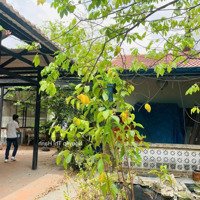 Bán Gấp 525M2 Full Thổ Cư Mặt Tiền Đường Số 1, Phường Linh Xuân, Thủ Đức