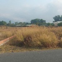 Bán Đất Lô Góc Đường Chính Suối Nhum .Dt: 5,8X25 Thổ Cư 60M. Giá Bán 1,550 Tỷ