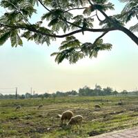  Bán Đất Nền Riveria Hội An –Sở Hữu Sổ Đỏ, Vị Trí Đắc Địa, Giá Chỉ Từ 2 Tỷ