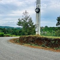 Bán Đất Bảo Lộcdiện Tích770.5M2, Góc 2 Mặt Tiền, Thổ Cư 407M2- Đã Rào Sẵn, Cây Ăn Trái Giá Bán 2Tyxx