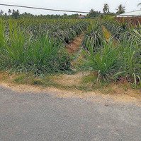 Đất Mặt Tiền Chợ Gạo Tiền Giang 1000M Có 300 Thổ 1,55 Tỷ