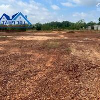Bán đất XD xưởng 18.300m2  Tam Phước Biên Hòa Đồng Nai giá 73 tỷ