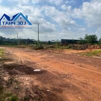 Bán đất XD xưởng 18.300m2  Tam Phước Biên Hòa Đồng Nai giá 73 tỷ